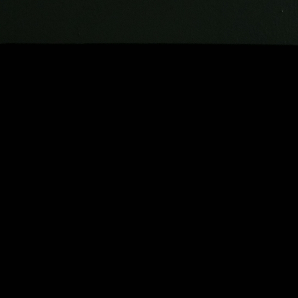 Shasha Collection Skirt - Picture 4 of 5